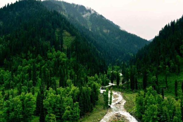 Best places to visit in Galiyat